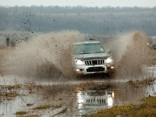 Jeep in the Dirt